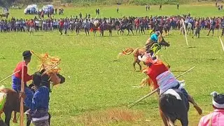 Atraksi Pasola Lamboya 2022 // Budaya Sumba
