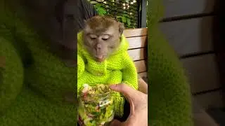 Мой гурман 😀 