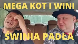 MEGA KOT O KOBIETACH