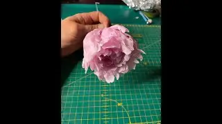 Want a your PEONY quick & beautiful? DON'T be terrified of FREE HAND It's fun give it a go! #SHORTS