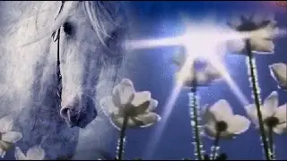 Печальная лошадь