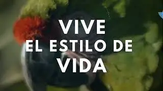 Bahia Escondida