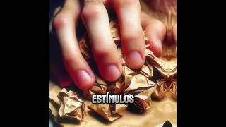 Descubre el ASMR, una técnica que puede ser tu aliada para la paz mental en segundos...