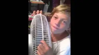 Fan