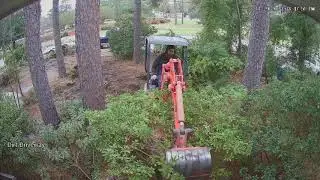 No more ground hornets
