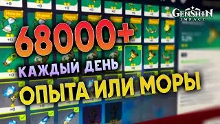 Оптимальный путь фарма артефактов | Genshin Impact 2.6