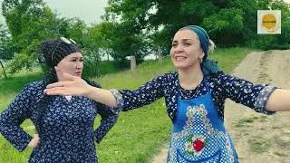 «ШКОЛ» цlыхубэ гушыlэ