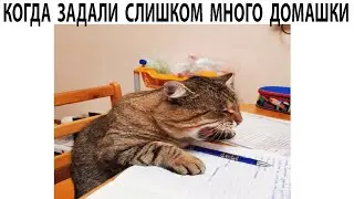 Мемы 2022 ( Про100 мемы ) выпуск 350 - Я и моя ДОМАШКА