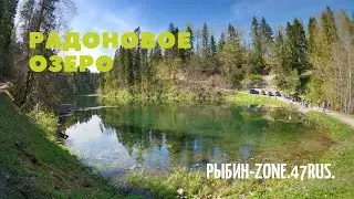 Радоновое Озеро 4k