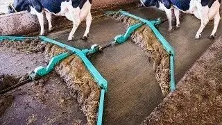 Automatic Cow Cleaning Smart Cowshed Tractor Loader Washing Milking Feeding Farming Technology