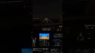 MSFS Citation CJ4 landing at Chicago O'Hare #shorts #aviation #flightsimulator #pilot #plane #cessna