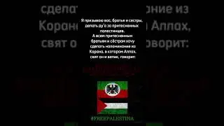 #палестина #дагестан #кавказ #лакцы