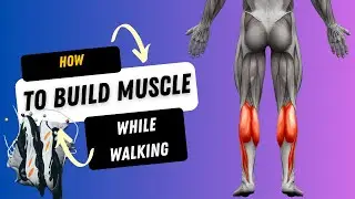 How to build muscle by simply walking