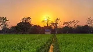 Snapseed  Editing Tips for Beginners | Snapseed Photo Editing | Snapseed Landscape Editing