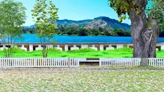 Beautiful nature green screen video | beautiful nature green screen hd video.