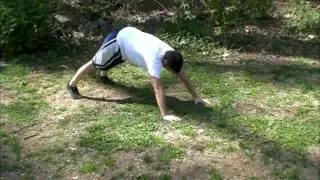 Divebomber Push Up