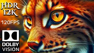 12K HDR 120FPS Paradise of Majestic Animals Beauty with Calming Music