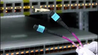 How to use MTP Cables to connect 40G SR4 QSFP+  module to communicate on the 40G switch？