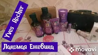 Изумрудный сундучок Лакомая Ежевика в Yves Rocher/Ив Роше  ☎  звонок консультанта.