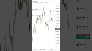 Трейдинг обучение Форекс Gold Trader