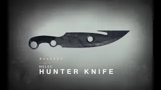 Destiny 2: What will the guardian do? [Shitpost]