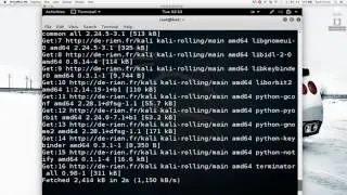 Updating Kali Linux & Installing Guest Additions