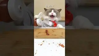 Watch until the end 😭 