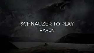 Schnauzer To Play - Raven (Original Mix) ¡Disponible Ahora!