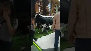 Кировская область на выставке Россия