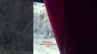 Сидим в поезде из - за обрыва провода в связи со сгегопадами и любуемся майским днём 😀