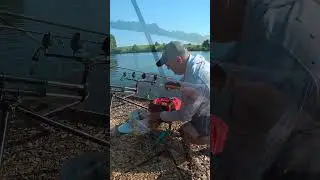 Рибалка в завоз #shorts