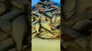 Так выглядит, рыбацкое счастье.