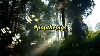 #popthepigs | Angry Birds POP Bubble Shooter | Angry Birds Stella POP