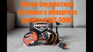 обзор бюджетной катушки с aliexpress proberos solitude prestige SLT 3000