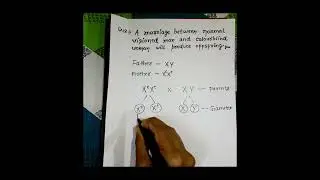 Genetic inheritance  based question