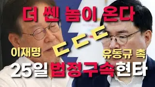 유동규 촉 