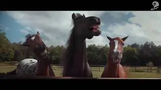 Cannes Lions. Volkswagen. LAUGHING HORSES (Смеющиеся лошади).