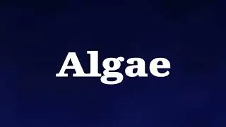How To Pronounce Algae In English || Correct Pronunciation