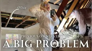 We have a problem ... damp insulation and ventilating the loft