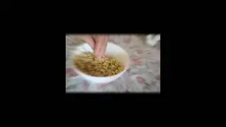 Драники из баклажана