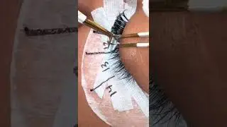 Lash with me