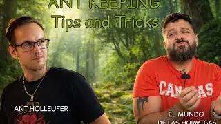 Ant talk with Ant Holleufer and El Mundo de las Hormigas