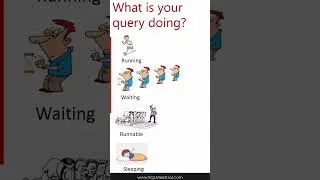 What is your SQL Server Query doing?
