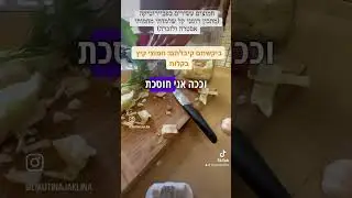 חמוצים בנוסח רומני, רק מים ומלח. #חמוציםבמלח #כרובכבוש #pickle #חמוציםרומנים #התססה