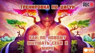 #4 Полная запись тренировки по цигун. Сегодня учились по новому ощущать себя в мире