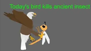 bald eagle kills meganeura