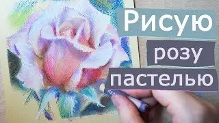 Как нарисовать розу [как нарисовать цветок 🎨 пастелью]