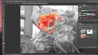 Tutoriel Photoshop Motif couleur sur photo N & B