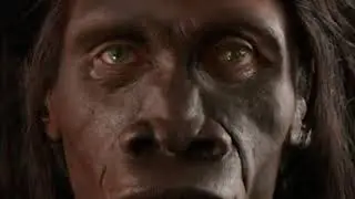 Vamoose - It's Evolution, Baby