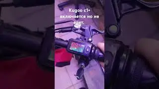 Kugoo c1+ turns on but does not drive.
